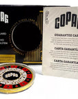 Kit Texas Hold'em