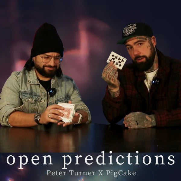 Open Prediction by Peter Turner