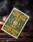 The Notorious Gambling Frog